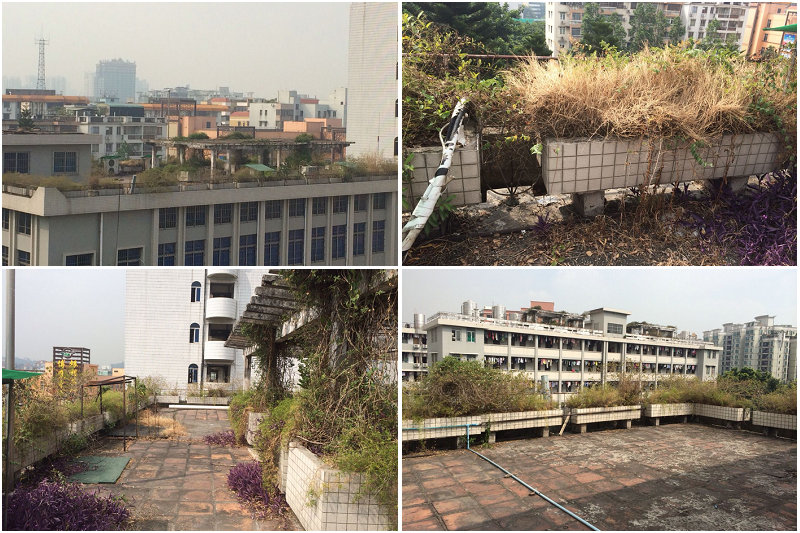 A41EED3BB1ACA770CB3C9CC2D02_641F2832_2A8B9.jpg?e=