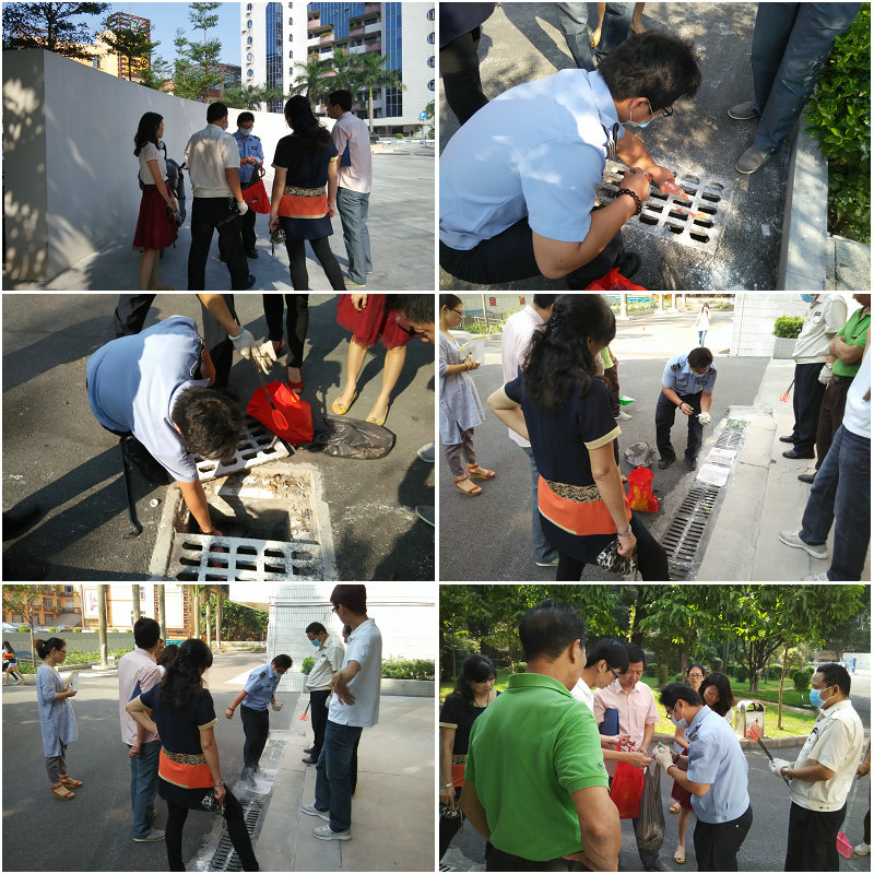 B67FB95D647CFB0023F3FBBF54A_7DD5500D_38E29.jpg?e=