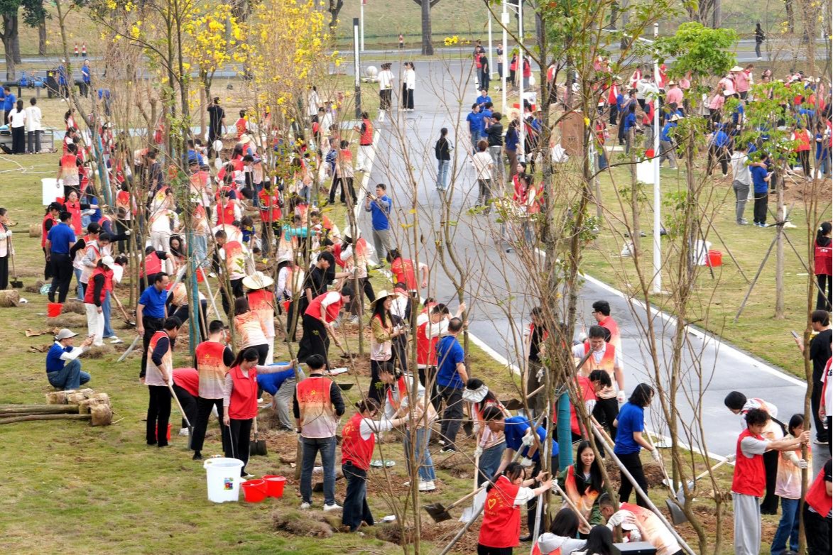 �齫����2(�й���)�ٷ���վ - IOS/��׿ͨ�ð�/�ֻ�APP����