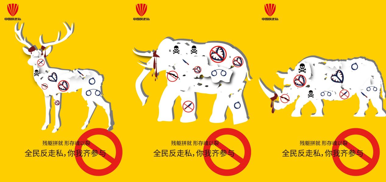 31EFE0247C5B2265A27C1ADBFEC_F7F79664_1411C 31EFE0247C5B2265A27C1ADBFEC_F7F79664_1411C