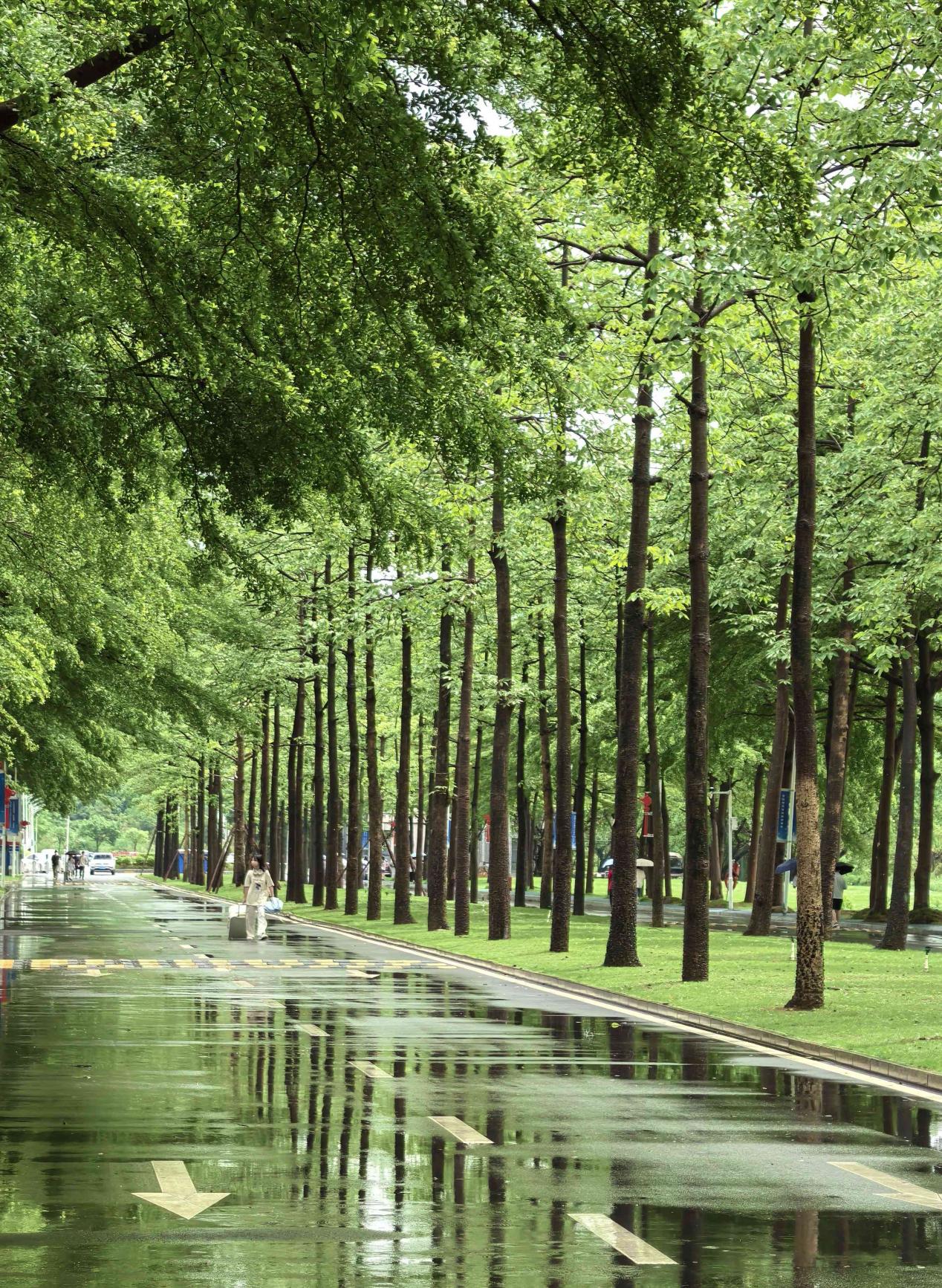 Â齫ºúÁË2(ÖйúÓÎ)¹Ù·½ÍøÕ¾ - IOS/°²×¿Í¨Óðæ/ÊÖ»úAPPÏÂÔØ