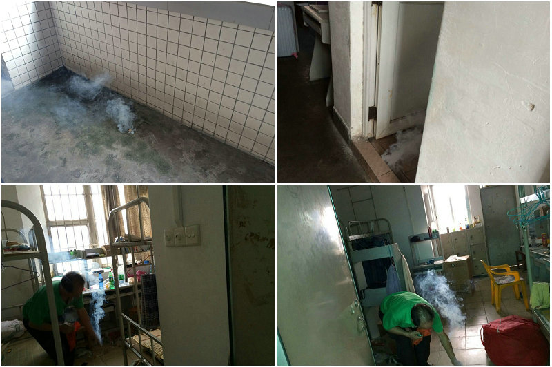 5C60B1AFB811AD50E63DE7FF365_93F6E00D_199F0.jpg?e=