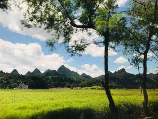 7A8F8E70CF1F856A515A5EF1CF6_6103CB6A_E099B