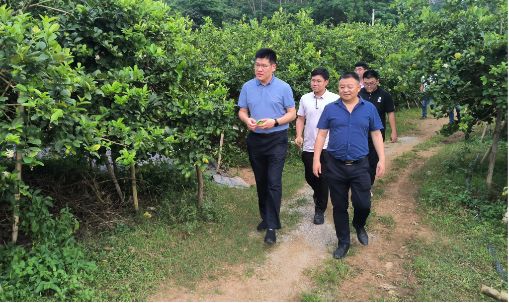 �齫����2(�й���)�ٷ���վ - IOS/��׿ͨ�ð�/�ֻ�APP����