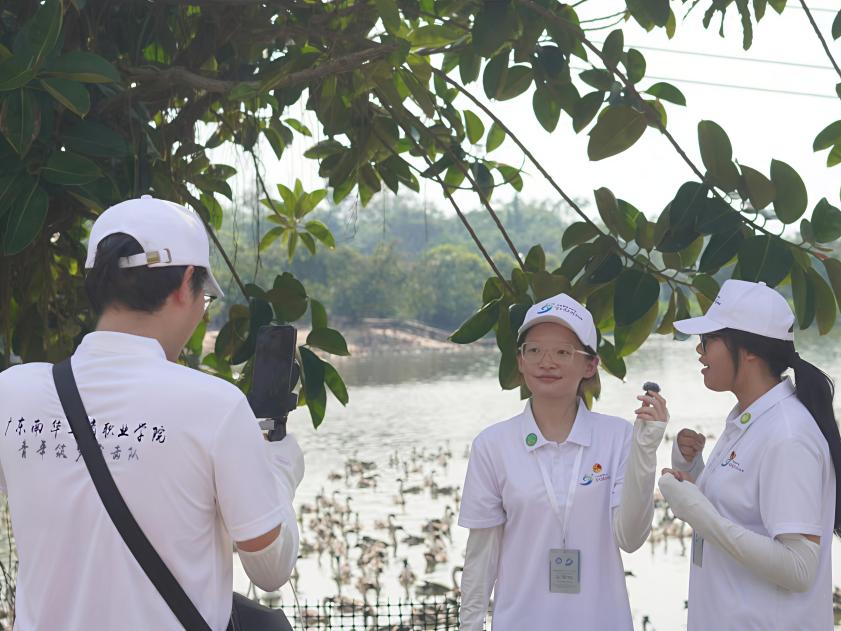 �齫����2(�й���)�ٷ���վ - IOS/��׿ͨ�ð�/�ֻ�APP����