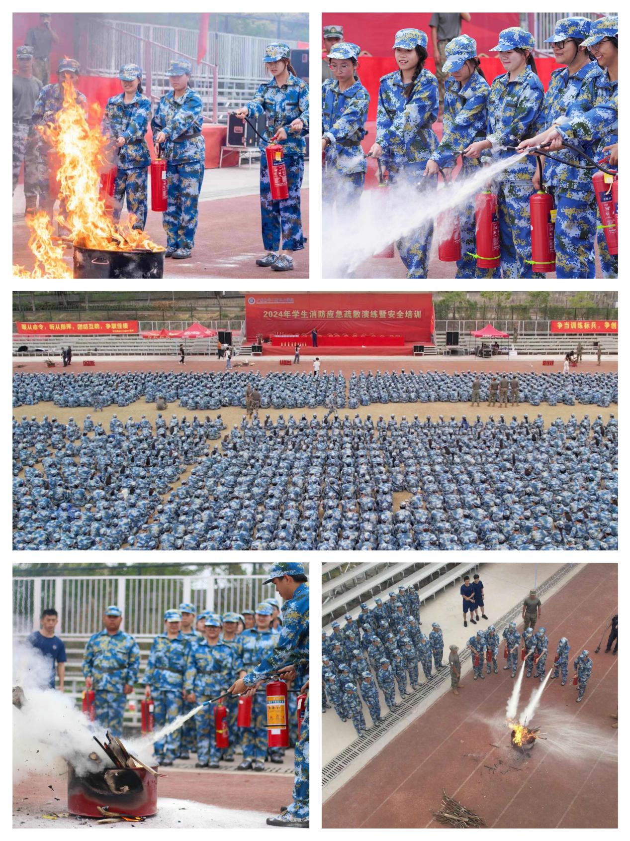 AB89226866C3F0CF9148429D87A_7A026928_6943B AB89226866C3F0CF9148429D87A_7A026928_6943B