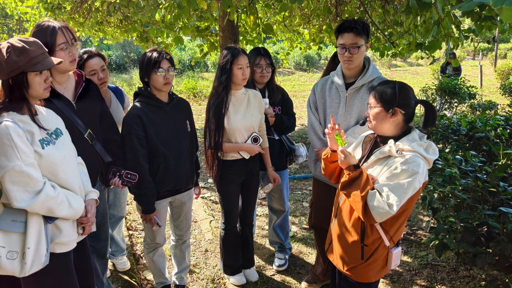 45C01F6F9DDA9ADF0EFAC733689_AAFAB34A_2799B 45C01F6F9DDA9ADF0EFAC733689_AAFAB34A_2799B