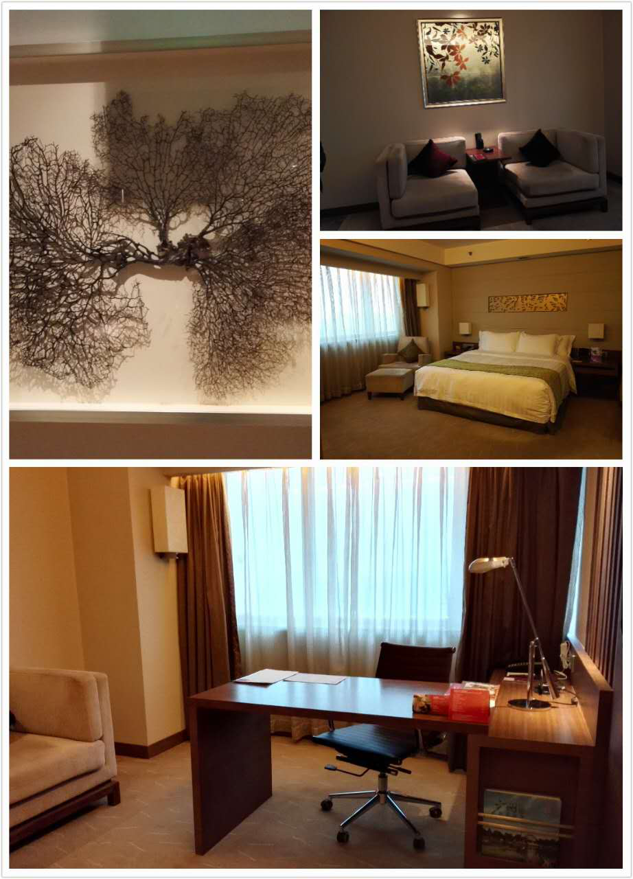 284F52EEC9F959C3E091F033404_649C5AFB_D4165.png?e=