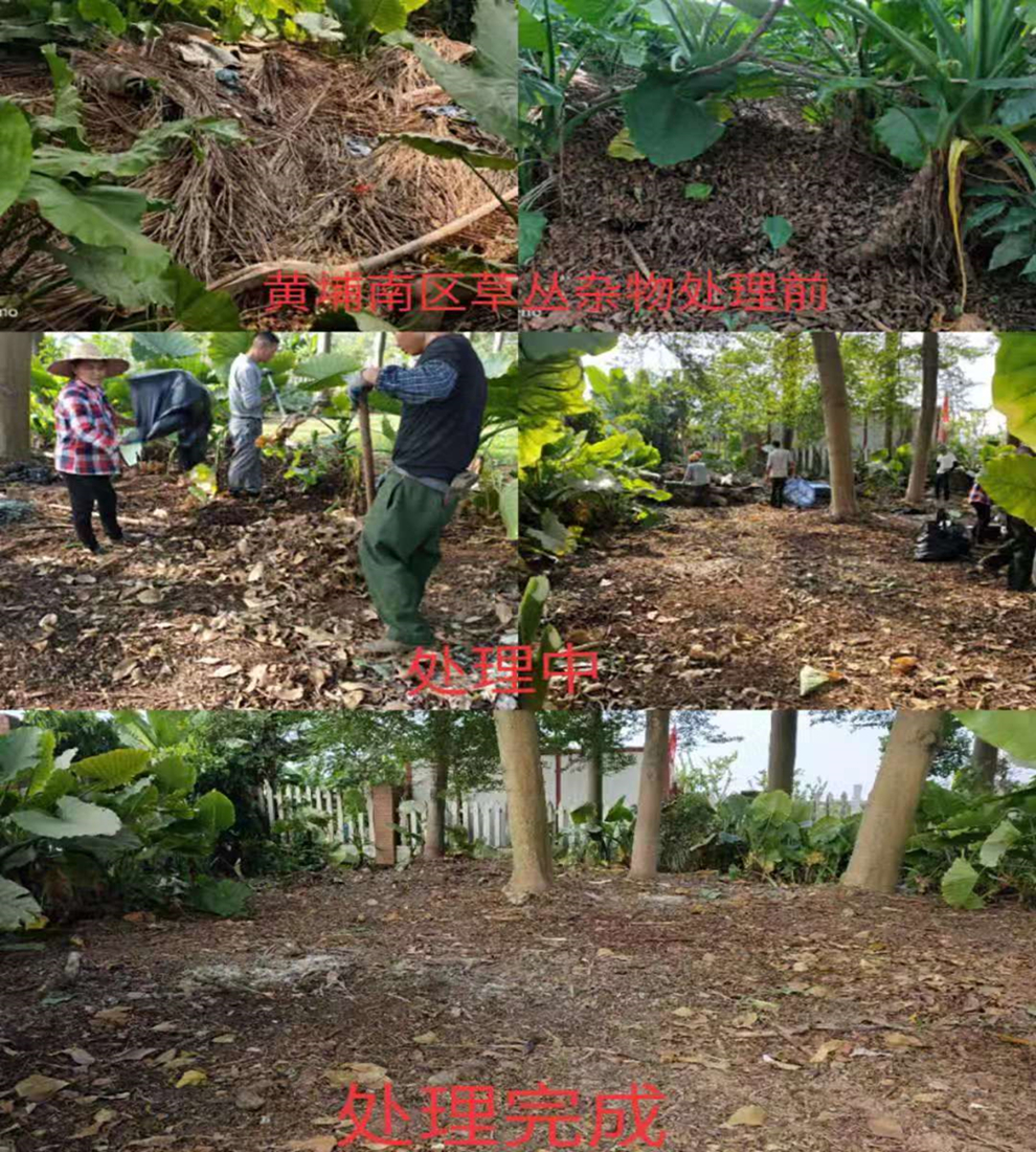 B88AE7804B0189F9B339410BA20_058EE71E_2F6F33.jpg?e=