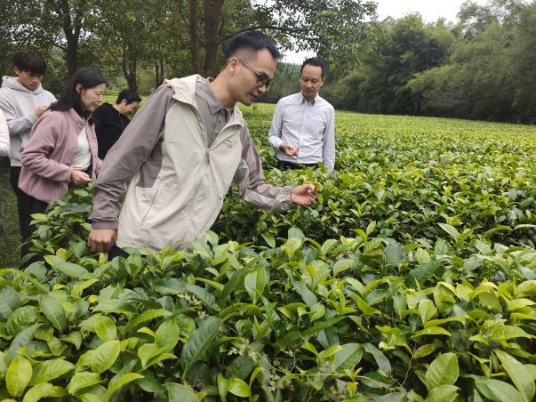 �齫����2(�й���)�ٷ���վ - IOS/��׿ͨ�ð�/�ֻ�APP����