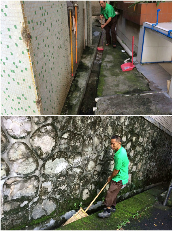 36C42C440E38B270319D8F88C06_B14C493E_2B7BC.jpg?e=