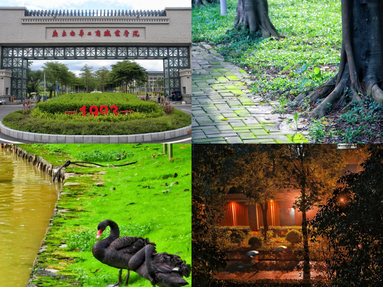 Â齫ºúÁË2(ÖйúÓÎ)¹Ù·½ÍøÕ¾ - IOS/°²×¿Í¨Óðæ/ÊÖ»úAPPÏÂÔØ