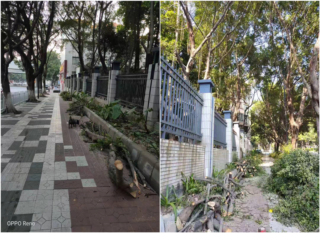 D72600DBB0D437BFDE8F6C4A1CC_3D2C3853_254624.jpg?e=