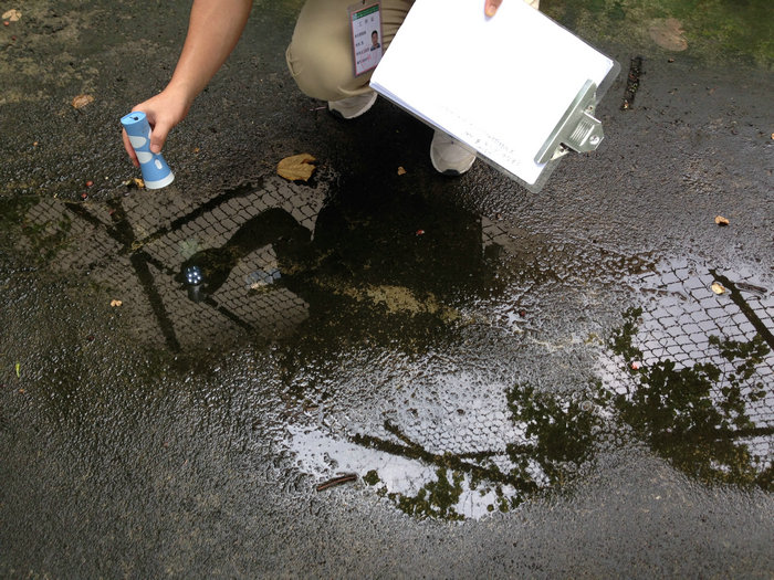 00EF7360675EF20BB103907F3A4_45DDACD9_24AA8.jpg?e=