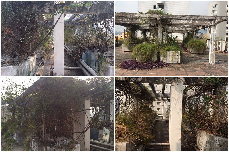 06D1CBA20441E2CF5E8827F9C87_B3EE6BD2_2C8CA.jpg?e=