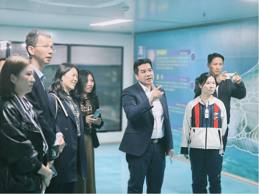 �齫����2(�й���)�ٷ���վ - IOS/��׿ͨ�ð�/�ֻ�APP����