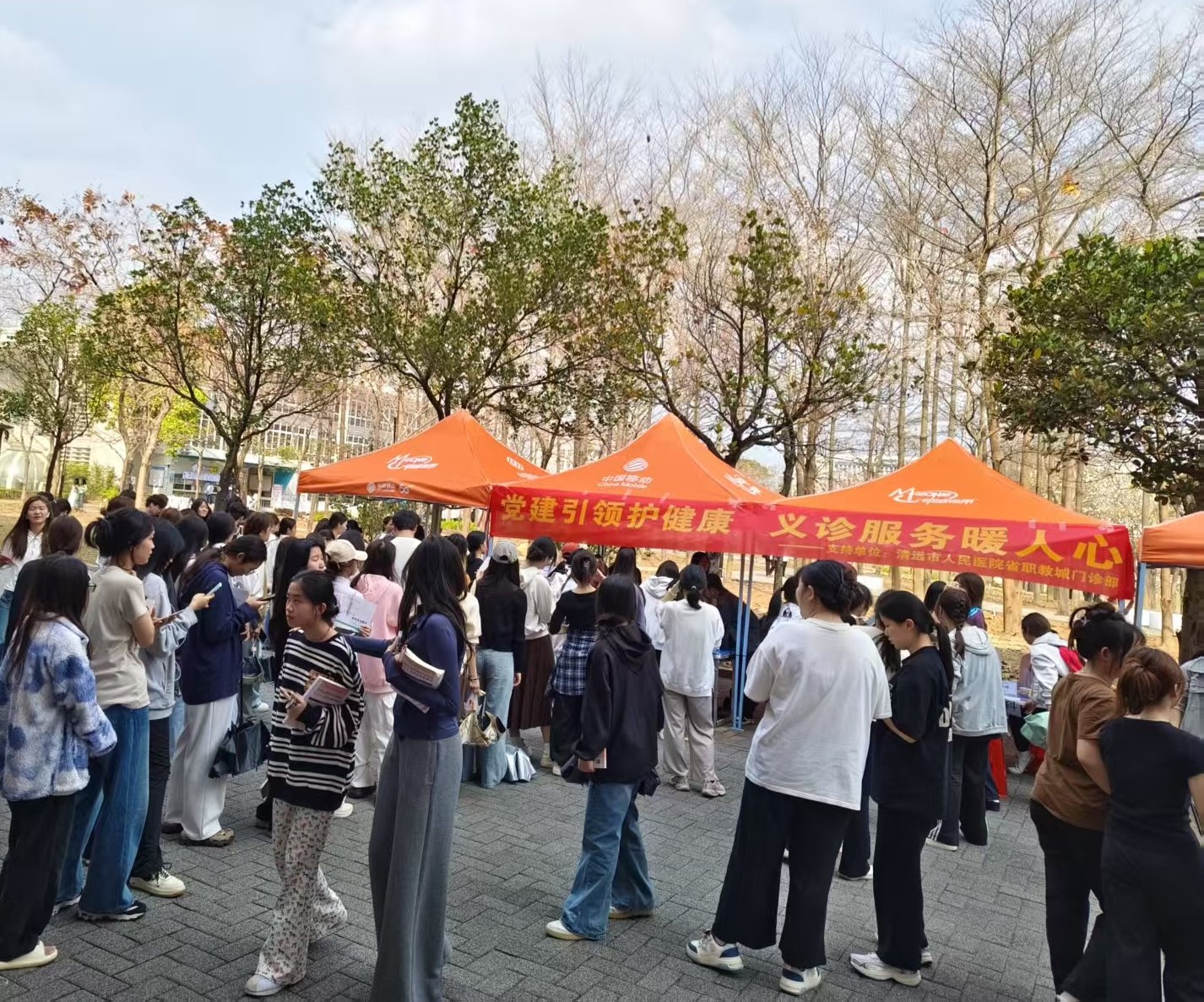 50D3189A4740C14AC9C09344A42_498B285D_95402