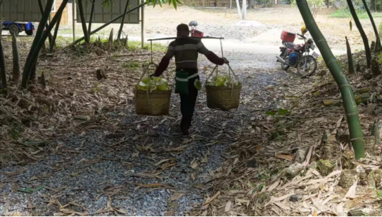 D027379C765275C59CC81F63B72_2BF5F09E_AACC1