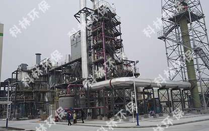 Hazardous Waste Incineration Flue Gas Purification Project
